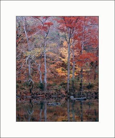 Copyright Brent Stovall